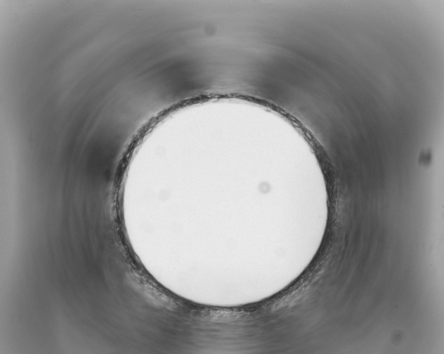 X0000094190832200710260952