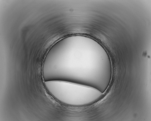 X0000094190833200710260952