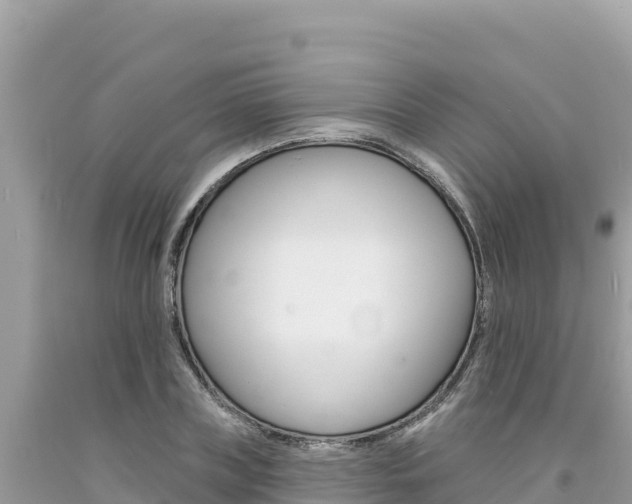 X0000094190835200710260952
