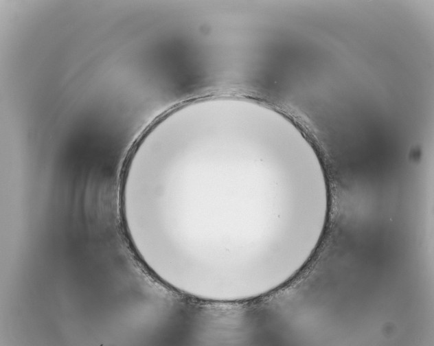 X0000094190836200710260953
