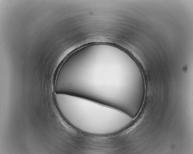 X0000094190837200710260953