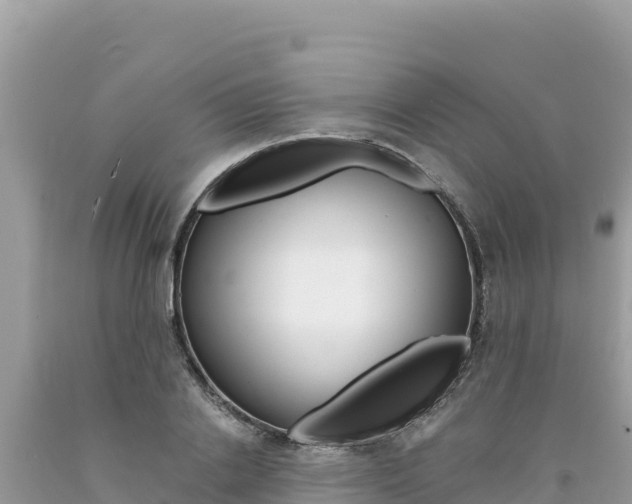 X0000094190838200710260953
