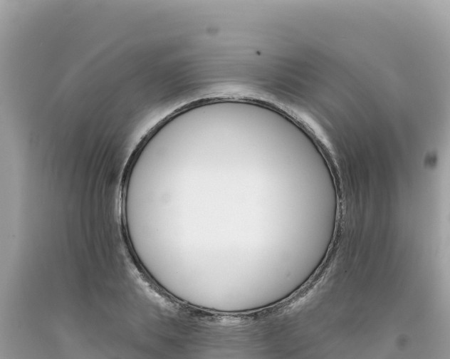 X0000094190839200710260953