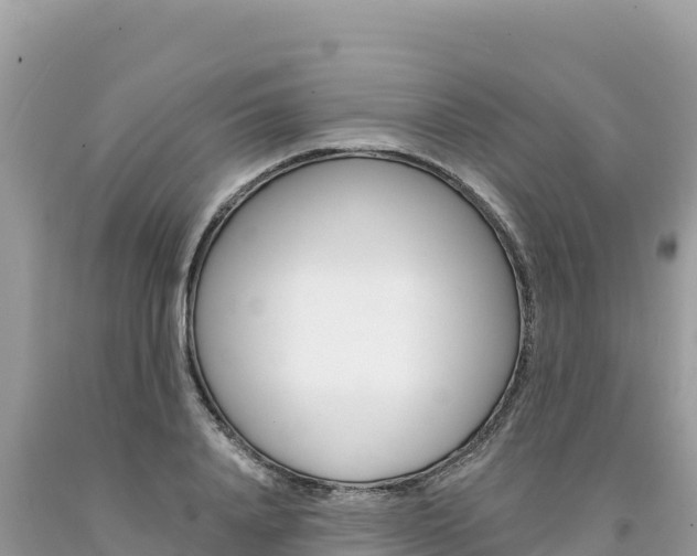 X0000094190840200710260953