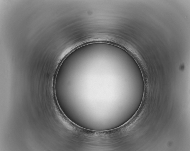 X0000094190842200710260953