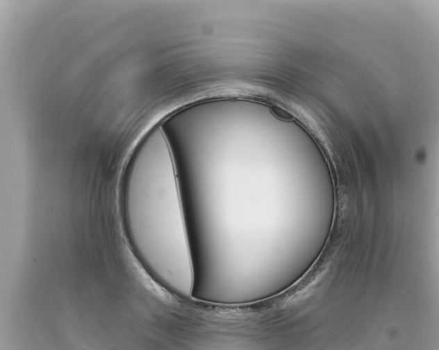 X0000094190843200710260953