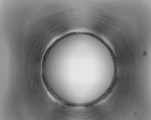 X0000094190845200710260953