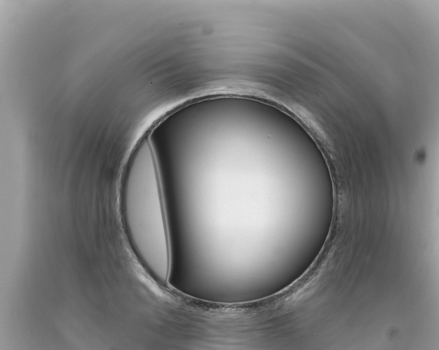 X0000094190846200710260953