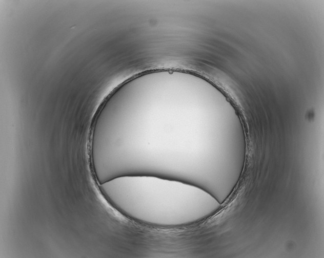 X0000094190847200710260953
