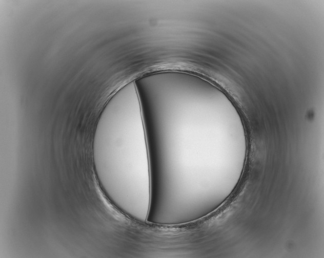X0000094190849200710260953
