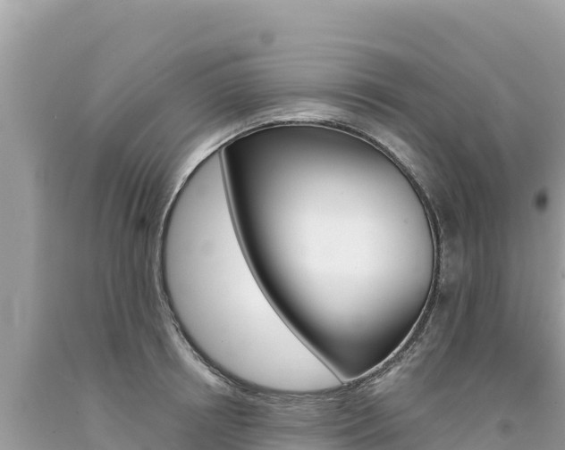 X0000094190850200710260953