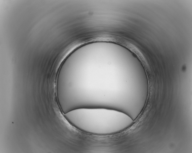 X0000094190852200710260953