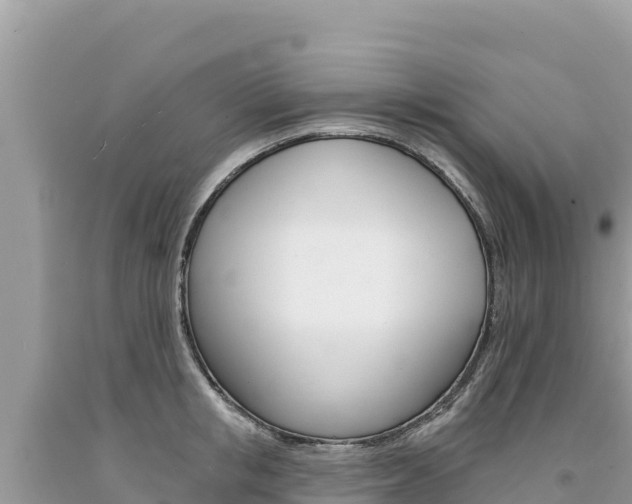 X0000094190853200710260953