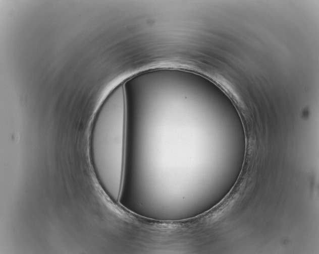 X0000094190854200710260953