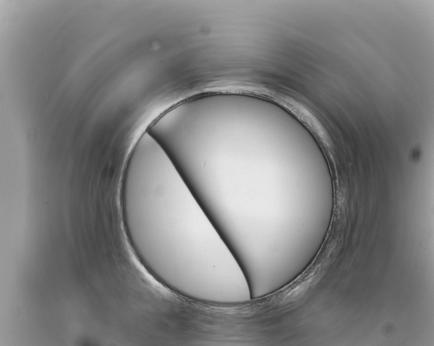 X0000094190855200710260953