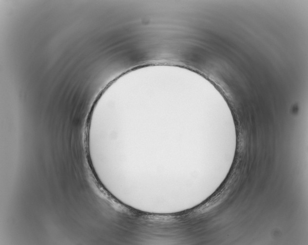 X0000094190856200710260953