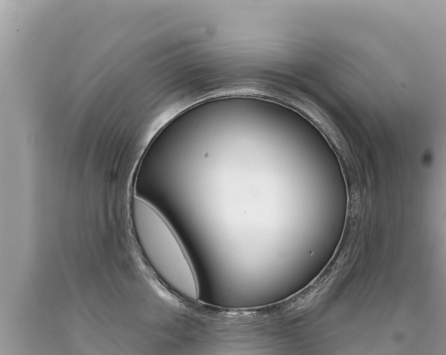 X0000094190858200710260953