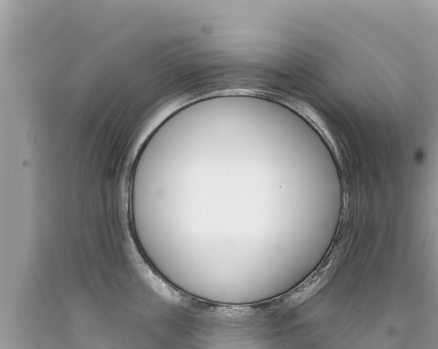 X0000094190859200710260953