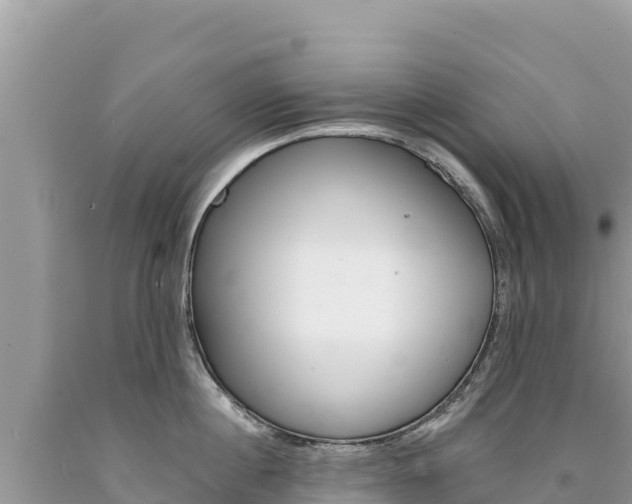 X0000094190860200710260953