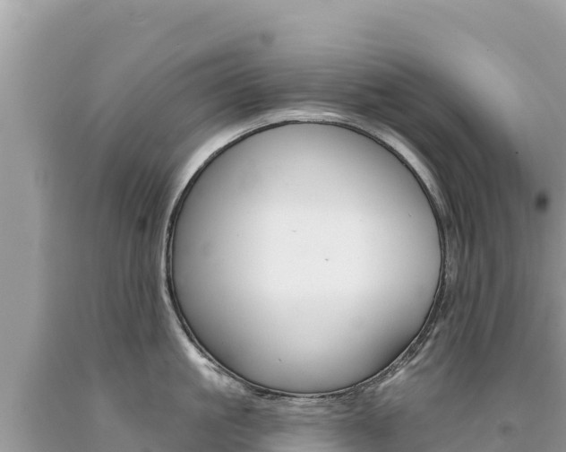 X0000094190861200710260953