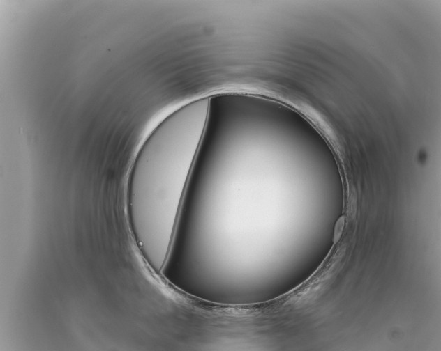 X0000094190862200710260953