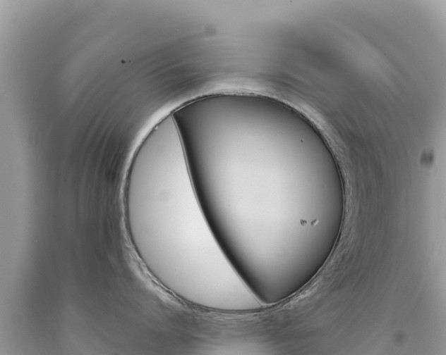 X0000094190864200710260953