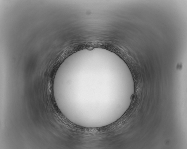 X0000094190866200710260952