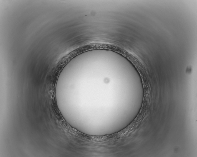 X0000094190870200710260952