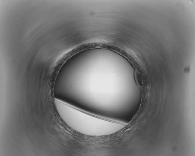X0000094190872200710260952
