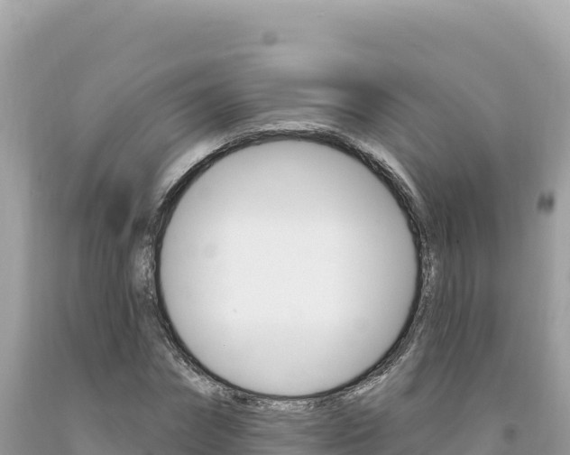 X0000094190874200710260952