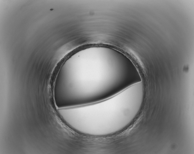X0000094190876200710260952