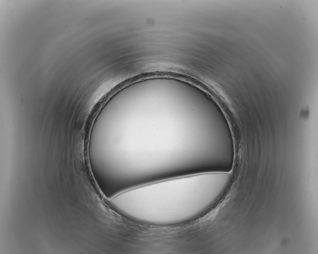 X0000094190877200710260952
