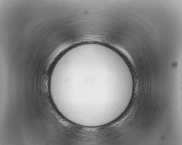 X0000094190878200710260952
