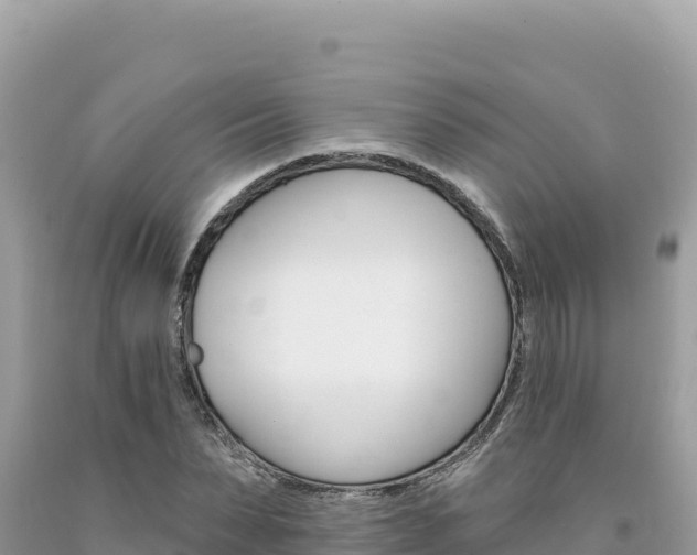 X0000094190879200710260952