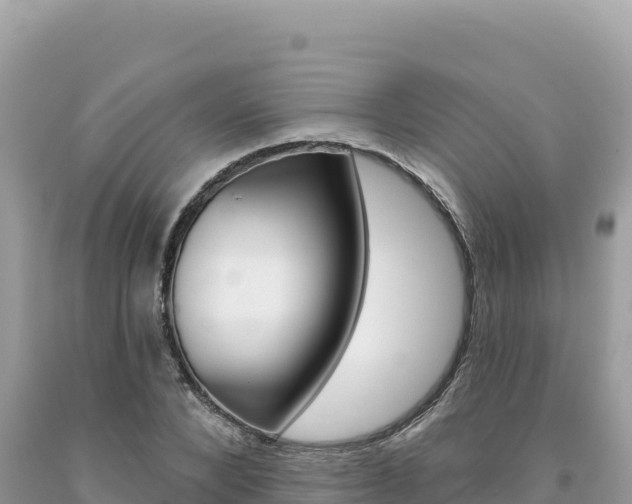 X0000094190880200710260952