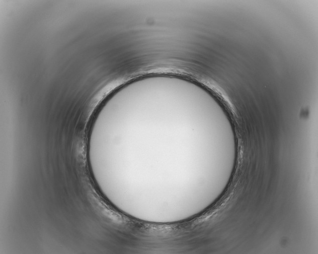 X0000094190882200710260952