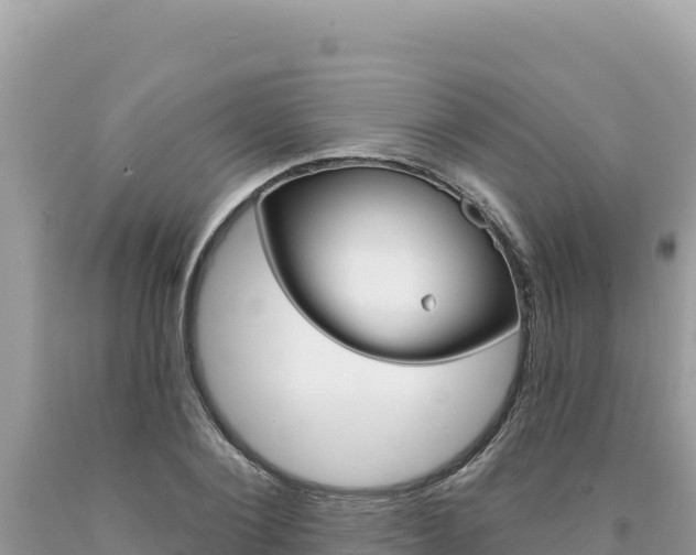 X0000094190884200710260952