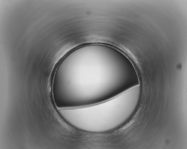 X0000094190885200710260952