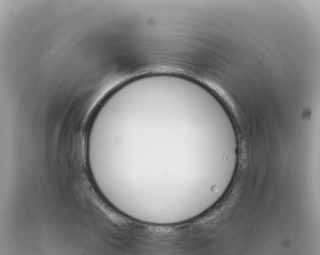 X0000094190886200710260952