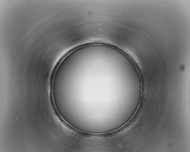 X0000094190888200710260952