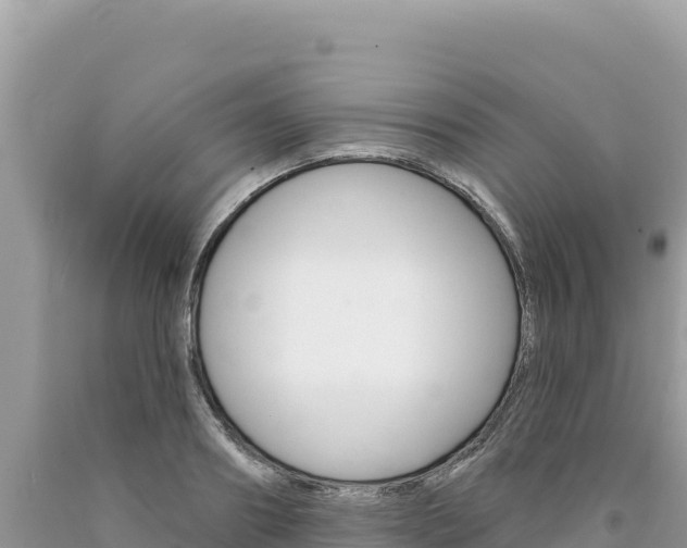 X0000094190890200710260952