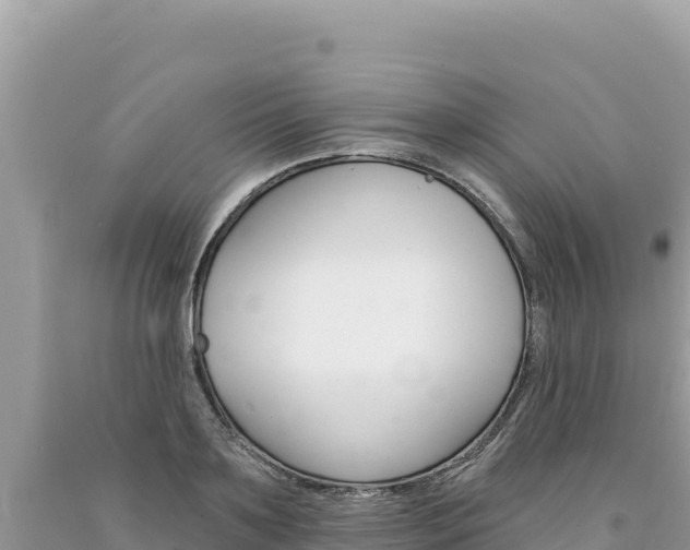 X0000094190891200710260952