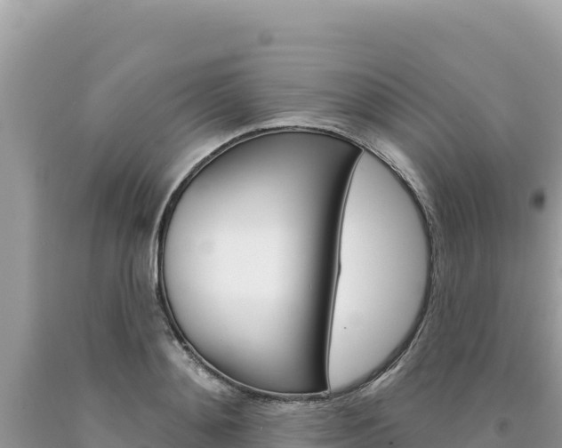X0000094190892200710260952