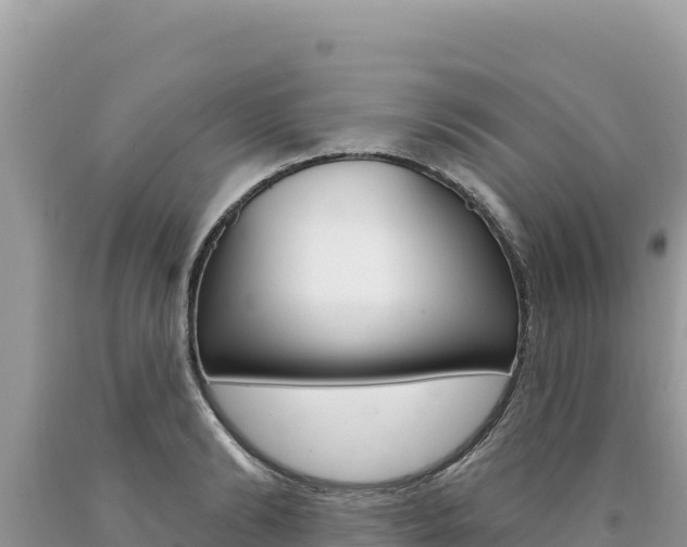 X0000094190894200710260952