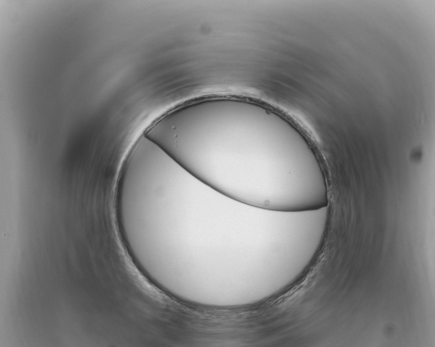 X0000094190895200710260952