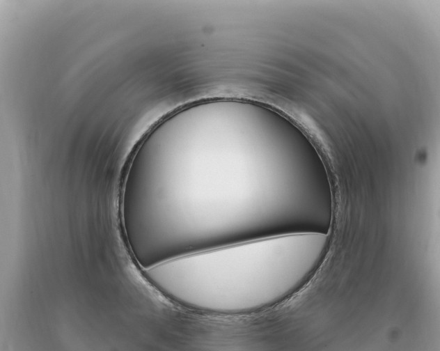 X0000094190896200710260952