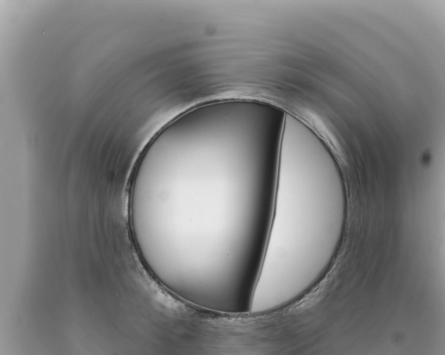 X0000094190900200710260952