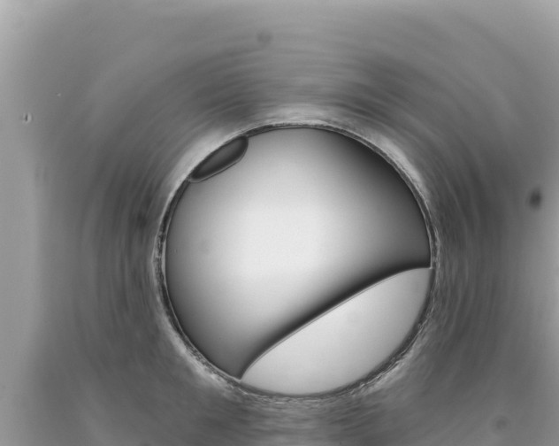X0000094190901200710260952