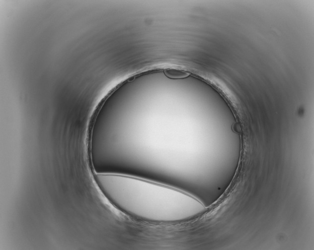 X0000094190902200710260952