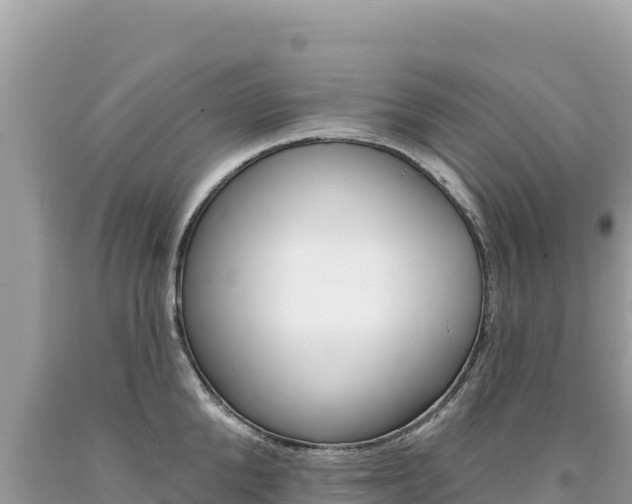 X0000094190904200710260952